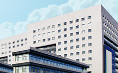 �P���M���p���z-�ꝙ�����Ʒ��B